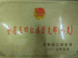 党、工、团建设成果